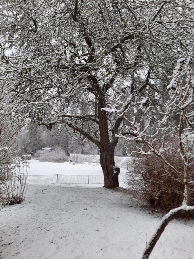 Aelghuset Silverdalen المظهر الخارجي الصورة